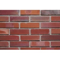 Lode klinkerinė plyta Gotika (perforuota) 250x120x65 Lode klinkerinė plyta Gotika (perforuota) 250x120x65