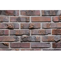Lode klinkerinė plyta Antika (perforuota) 250x120x65 Lode klinkerinė plyta Antika (perforuota) 250x120x65