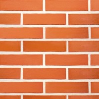 Terca apdailinė plyta FAT 65 raudona lygiu paviršium 250x85x65 Terca apdailinė plyta FAT 65 raudona lygiu paviršium 250x85x65