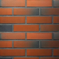 Terca apdailinė plyta FAT 65 raudona redukuota lygiu paviršium 250x85x65 Terca apdailinė plyta FAT 65 raudona redukuota lygiu paviršium 250x85x65
