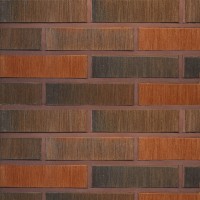 Terca apdailinė plyta FAT 65 raudona redukuota šiurkščiu paviršium 250x85x65 Terca apdailinė plyta FAT 65 raudona redukuota šiurkščiu paviršium 250x85x65