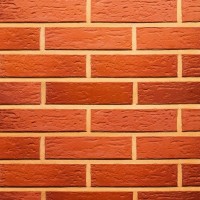 Terca apdailinė plyta FAT 65 raudona rifliuotu paviršium 250x85x65