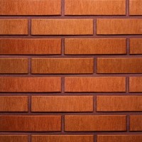 Terca apdailinė plyta FAT 65 raudona šiurkščiu paviršium 250x85x65 Terca apdailinė plyta FAT 65 raudona šiurkščiu paviršium 250x85x65