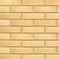 Terca apdailinė plyta FAT 65 Safari šiurkščiu paviršium 250x85x65