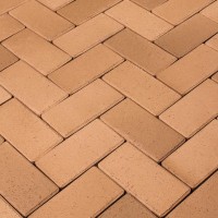 Penter klinkerinės grindnio trinkelės Husumm gelbbunt 200x100x52 Penter klinkerinės grindnio trinkelės Husumm gelbbunt 200x100x52